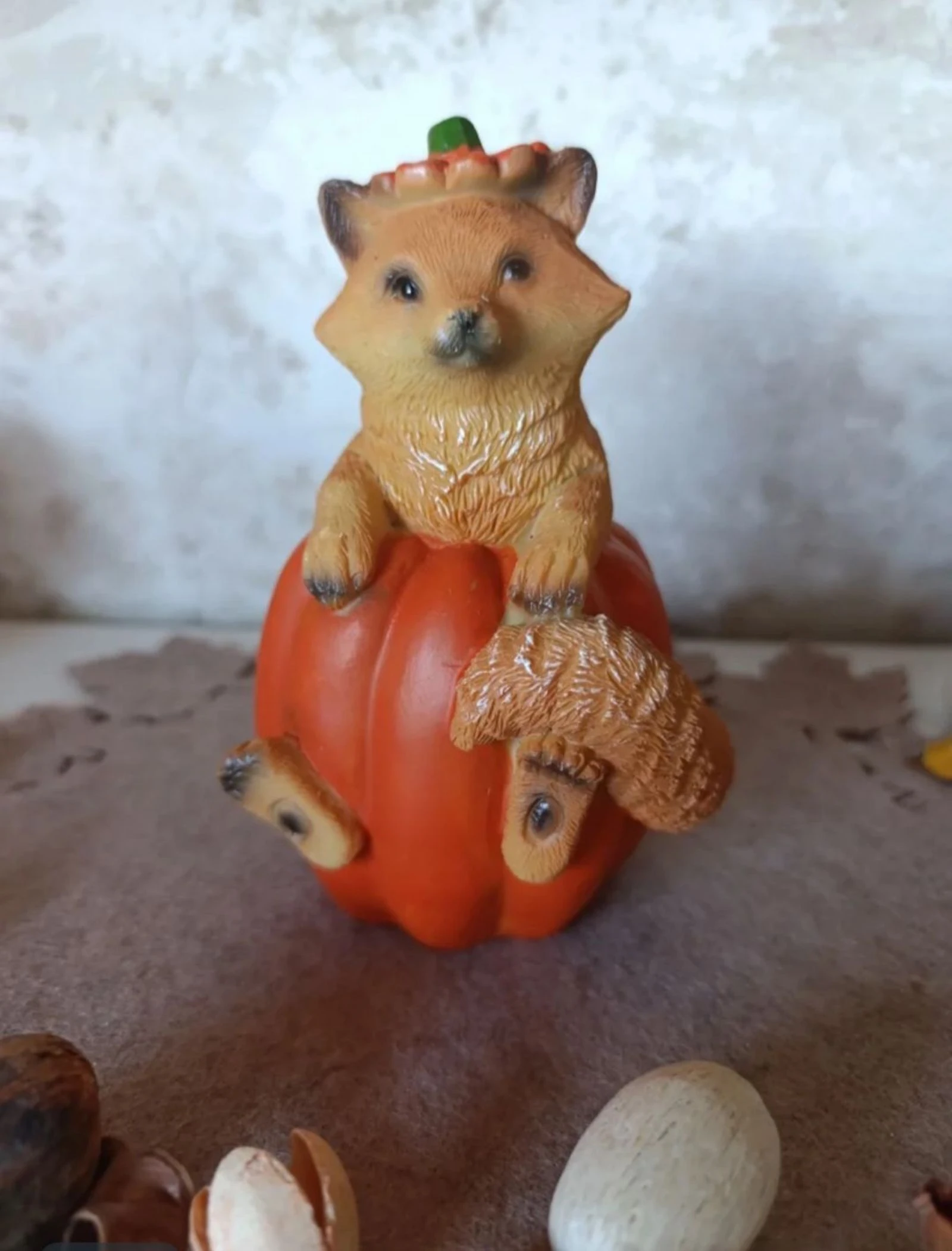 Calabaza avec zorrillo – photo 2
